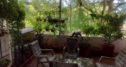 Terrace Bedroom Glass Bedroom with Nature Views Room Type - Terrace Bedroom Glass Bedroom with Nature Views