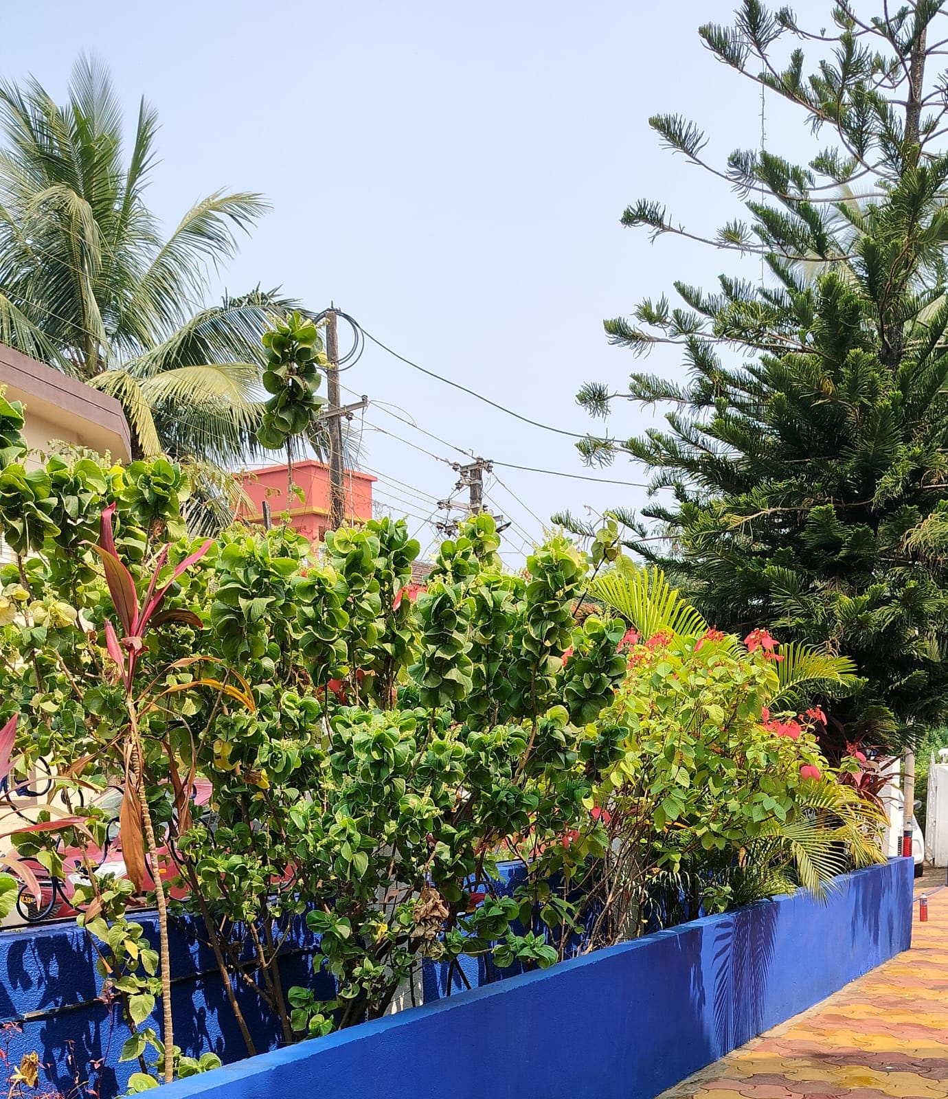 Diego Villa, Goa - Tap to explore photos