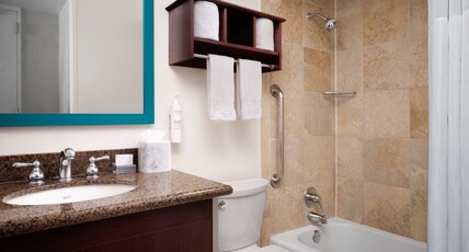 Hampton Inn by Hilton Chicago Downtown/Magnificent Mile Room Type - 2 QUEENS W FRIDGE NOSMOK