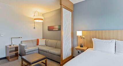 DoubleTree by Hilton Asheville Downtown Room Type - 1 KING HIGH FLOOR