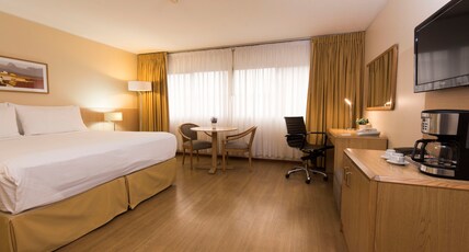 Holiday Inn MONTEVIDEO Room Type - 1 King Standard Smoking