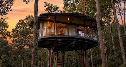 Pugmark Jungle Resort Room Type - Tree House Honeymoon Cottage with Jacuzzi Pugmark Jungle Resort Room Type - Tree House Honeymoon Cottage with Jacuzzi