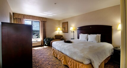 Hampton Inn & Suites by Hilton Gallup Room Type - 1 KING BED NONSMOKING