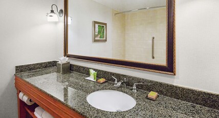 DoubleTree Raleigh Durham Airport at Research Triangle Park Room Type - 1 KING BED WITH SOFABED