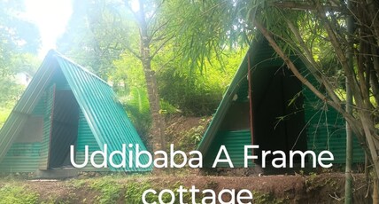 UDDIBABA AGRO-TOURISM CAMPS & CAFE Room Type - Cabin room