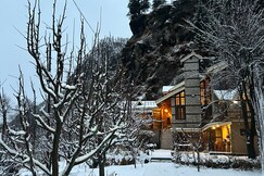 Escape to Nature | Serenity into the Wilds