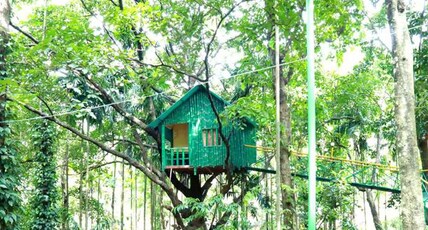 Tree Top Resort to Tree Top Resort Near Silent Valley Room Type - Tree House Deluxe