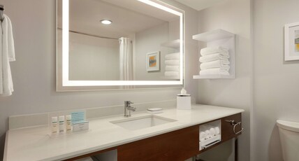 Hampton Inn by Hilton Dulles/Cascades Room Type - 1KING STUDY SOFABED NOSMOK