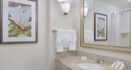 Hilton Garden Inn Worcester Room Type - 2 QN ACC RM W BATHTUB