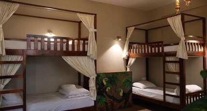 Vibes Inn Singing Tree Room Type - 2 x Bed in 4 Bed Female only AC Dormitory Room with Ensuite Bathroom