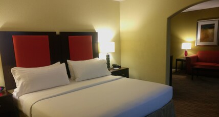 Holiday Inn Express & Suites Waller - Prairie View Room Type - 1 King Bed Standard Comm Accessible Tub