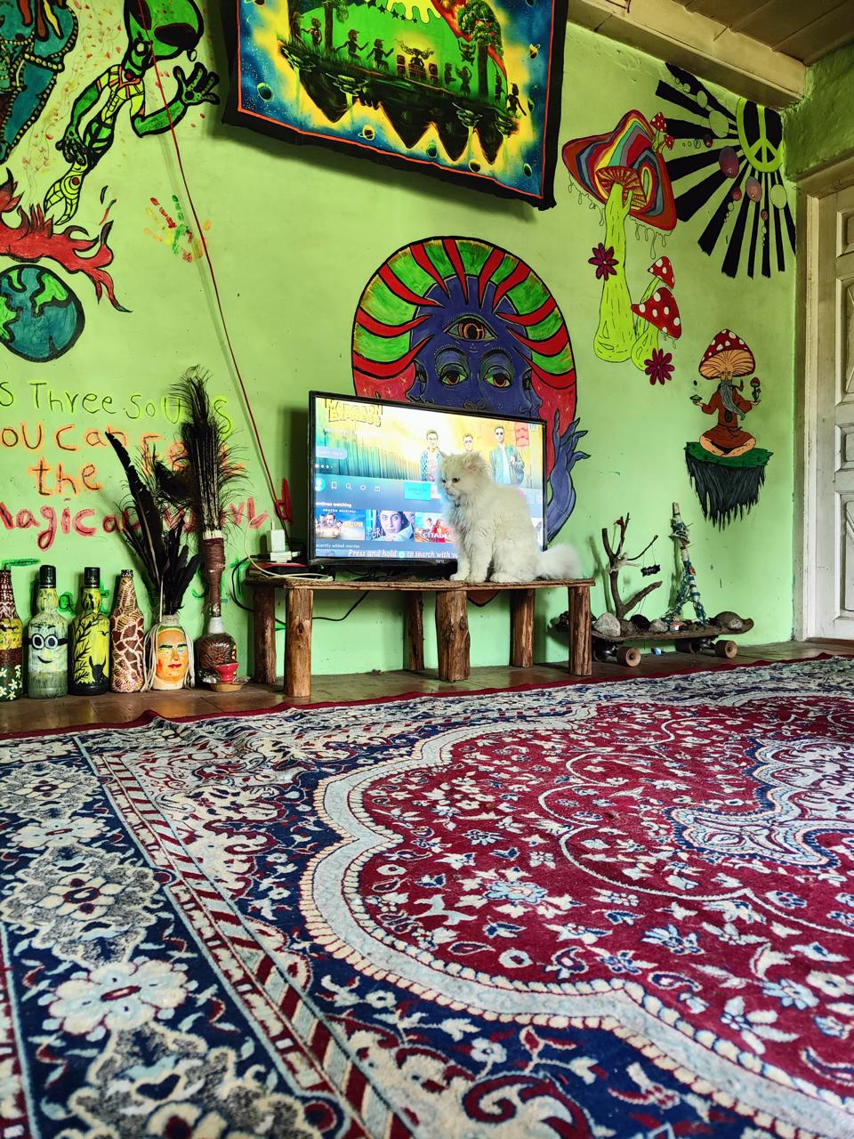 Trippyfly Homestay - Tap to explore photos