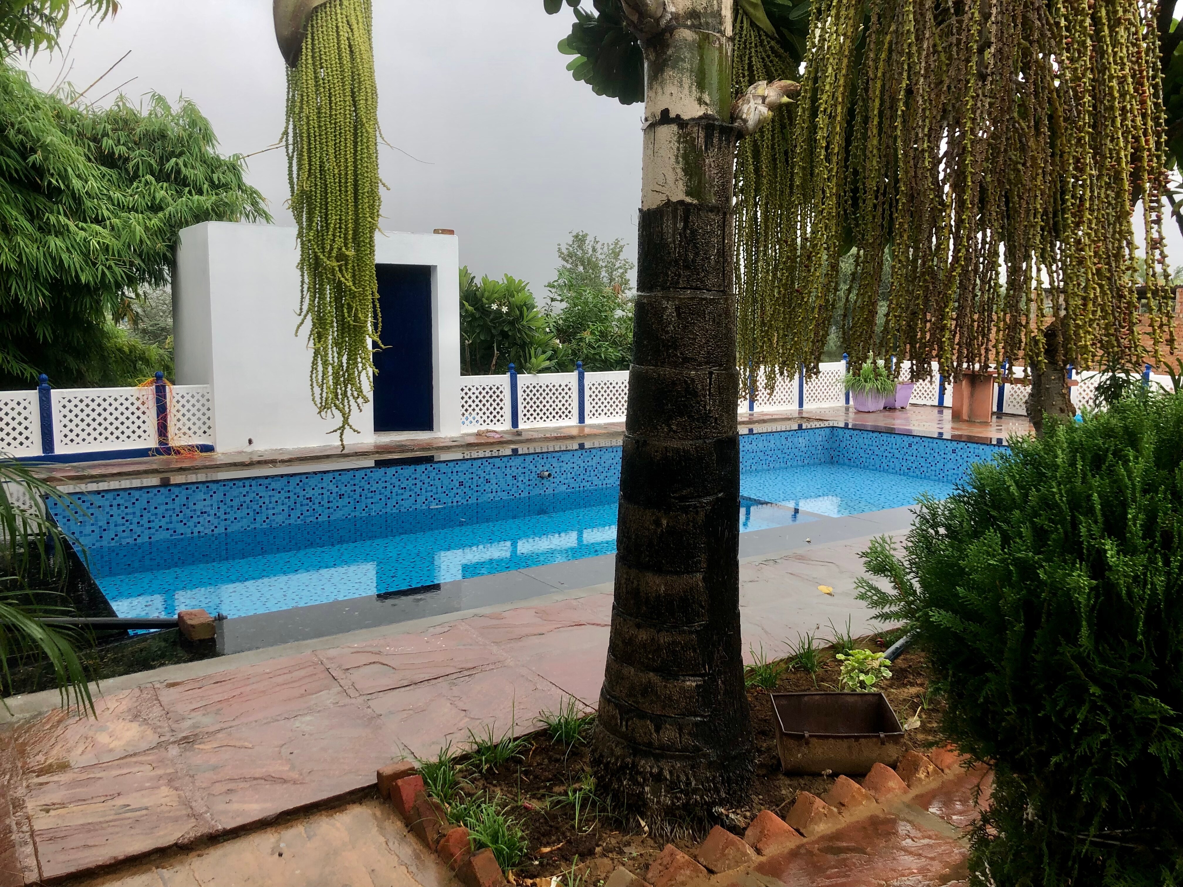 The Bamboo Acres : Farmstay with gardenside pool - Tap to explore photos