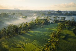 Ubud Mas Glamping