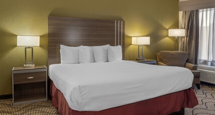 Best Western Heritage Inn Room Type - Accessible - 1 King, Mobility Accessible, Communication Assistance, Roll In Shower, Refrigerator, Wi