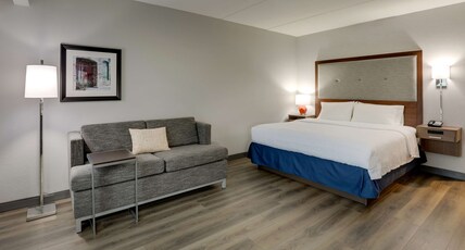 Hampton Inn & Suites by Hilton Rome Room Type - 1KN SFBD MIC FRG NS CITY