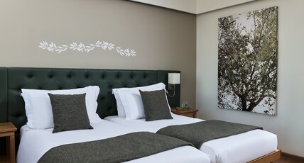 Titania Hotel Athens Room Type - Superior Room with City View