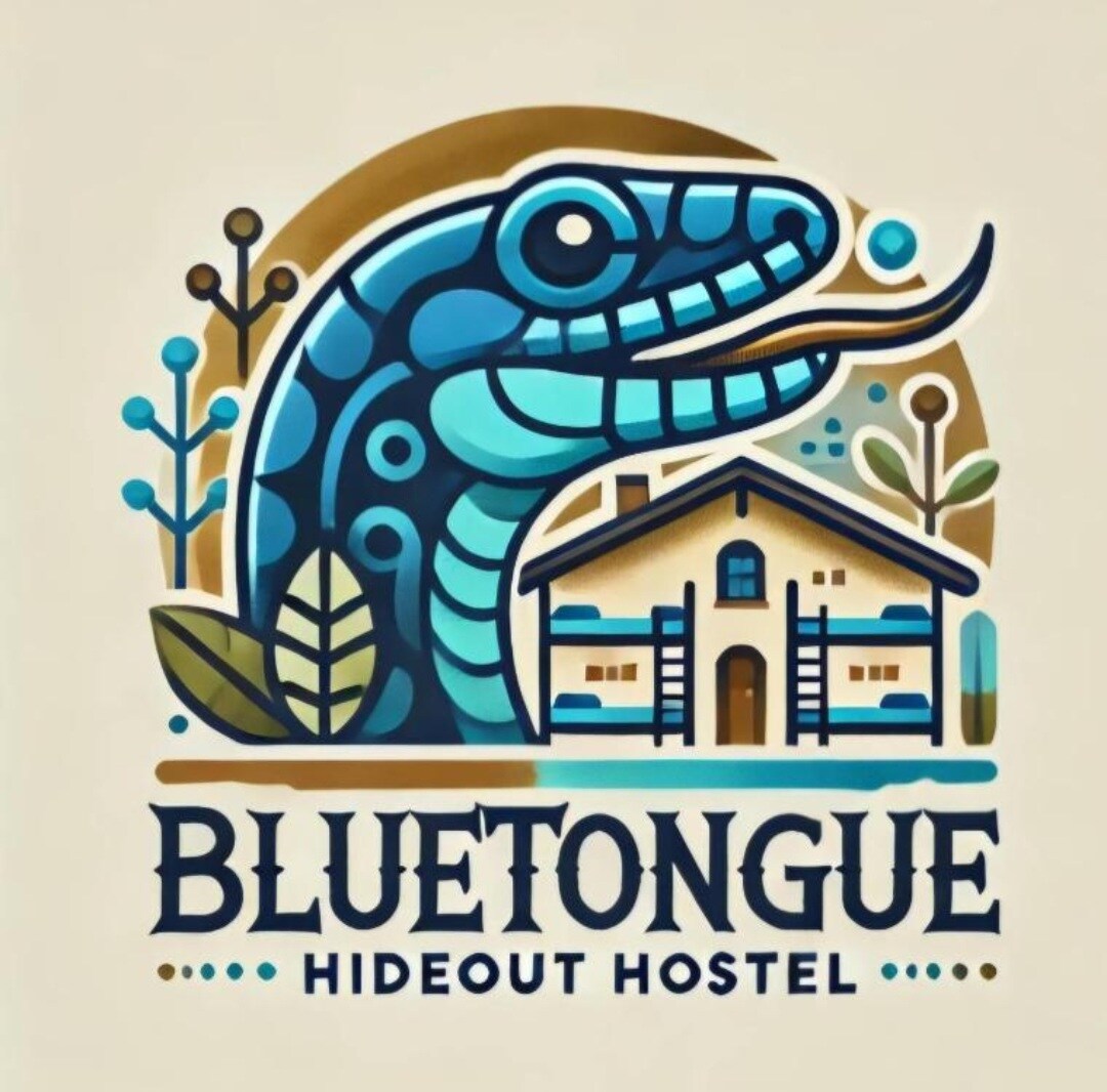 Bluetongue Hideout - Tap to explore photos