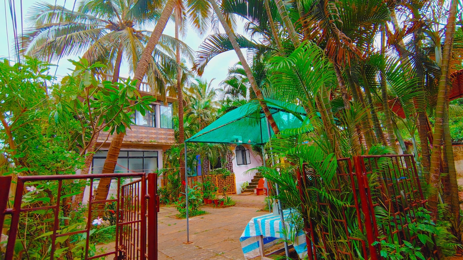 Beach road Homestay Candolim - Tap to explore photos