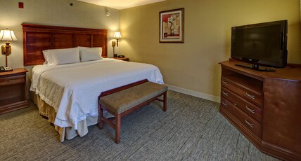 Hampton Inn by Hilton Manning Room Type - 1 KING BED NONSMOKING