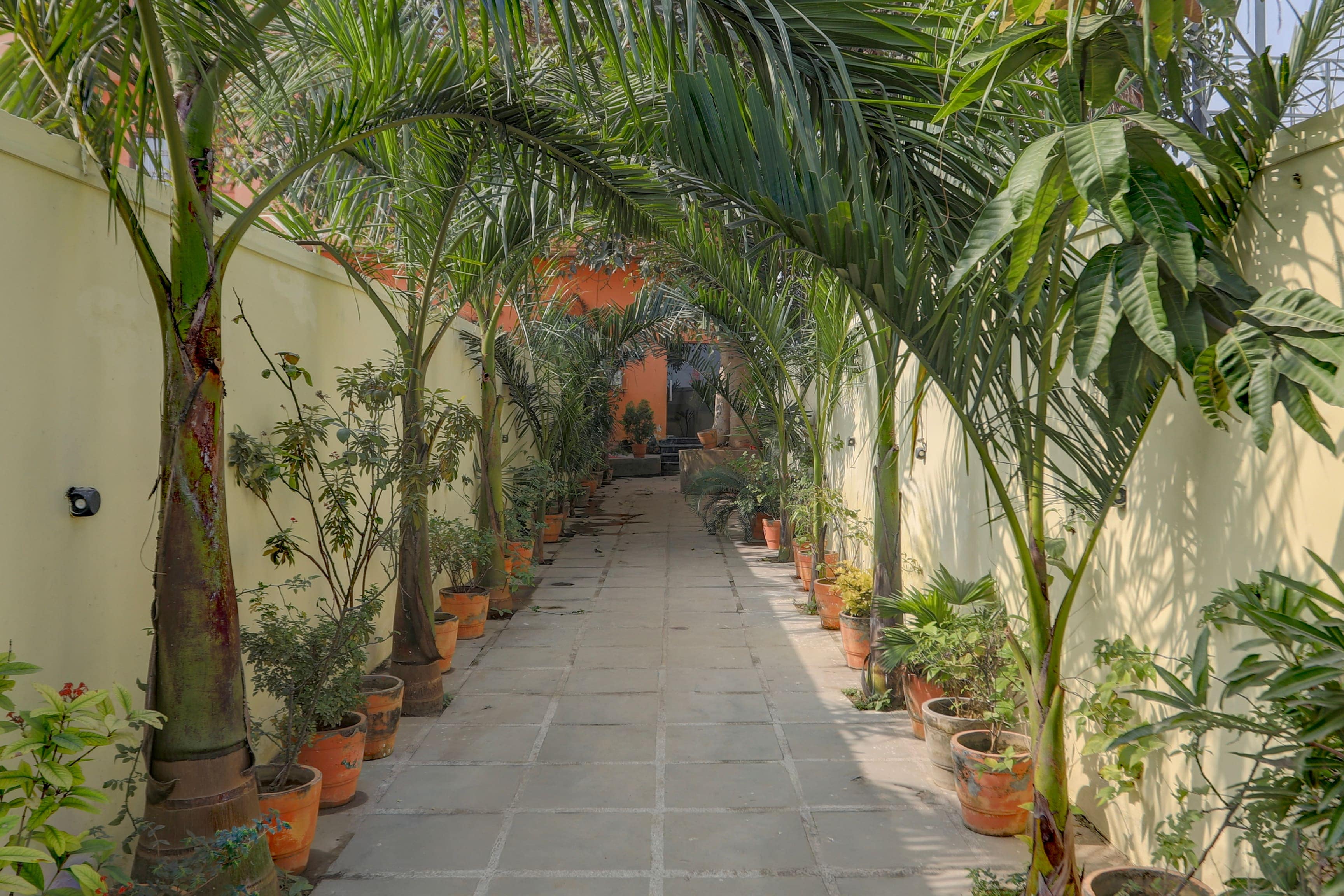 Hotel O by OYO Shree Paying Guest House - Tap to explore photos
