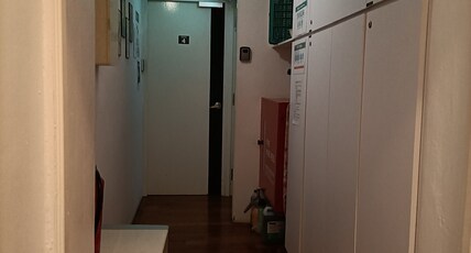 Royal Hostel Singapore Room Type - Single bed in 10 bed Female dorm