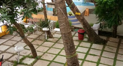 Serene Waters Homestay | Rooms & Pool Room Type - Budget Double 3 (Garden)