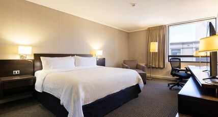 Holiday Inn Express CONCEPCION Room Type - 1 King Standard