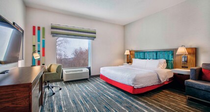 Hampton Inn by Hilton Cortland Room Type - KING STUDIO WITH SOFA BED