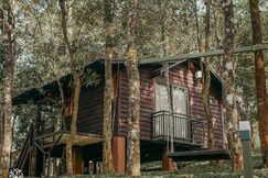 Tree Valley Resort | Valley View with Pool