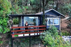 Ultraluxe Treehouse with balcony and bay window