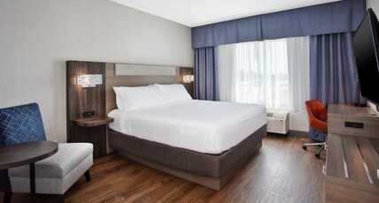 Holiday Inn Express & Suites Kingston Central Room Type - 1 Kng Suite 1 Bdrm Ste Addtnl Lvng Area