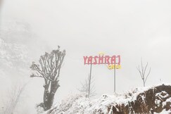 YASHRAJ CAFE