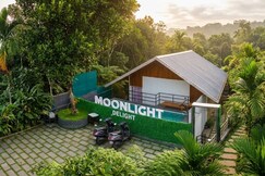 Moonlight Delight