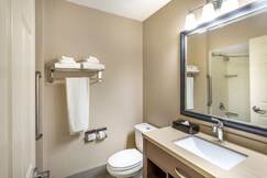 Best Western Plus Cotton Tree Inn