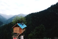 JungleBook Mulberry Tree House