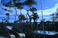 Bougain Villa @ Mekeri