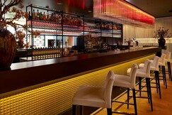 Park Plaza Amsterdam Airport