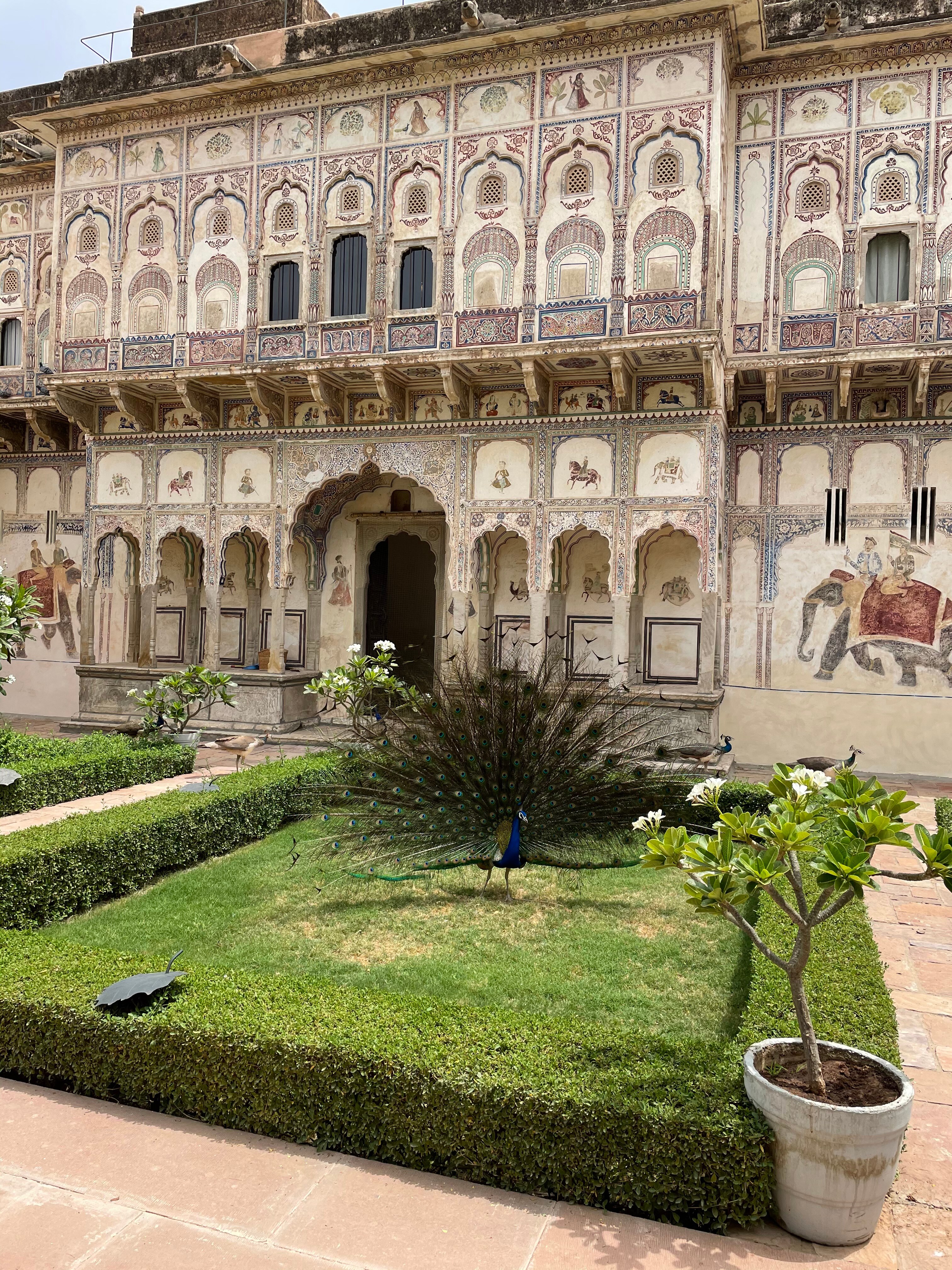 Deeppura Garh - Tap to explore photos
