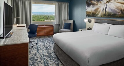 DoubleTree by Hilton Hotel Denver Room Type - 1 KING BED STUDIO