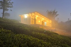 CloudyMistVagamon