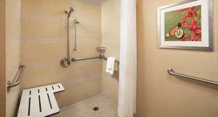 Holiday Inn Austin -Town Lake Room Type - 1 Double Mobil Access Roll Shwr
