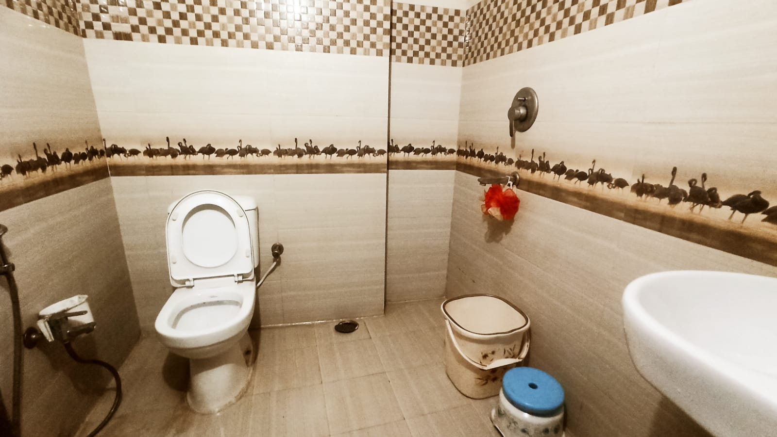 New Ajit Hotel - Tap to explore photos