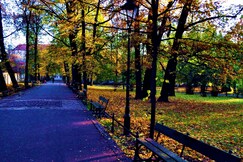 Best Western Plus Krakow Old Town