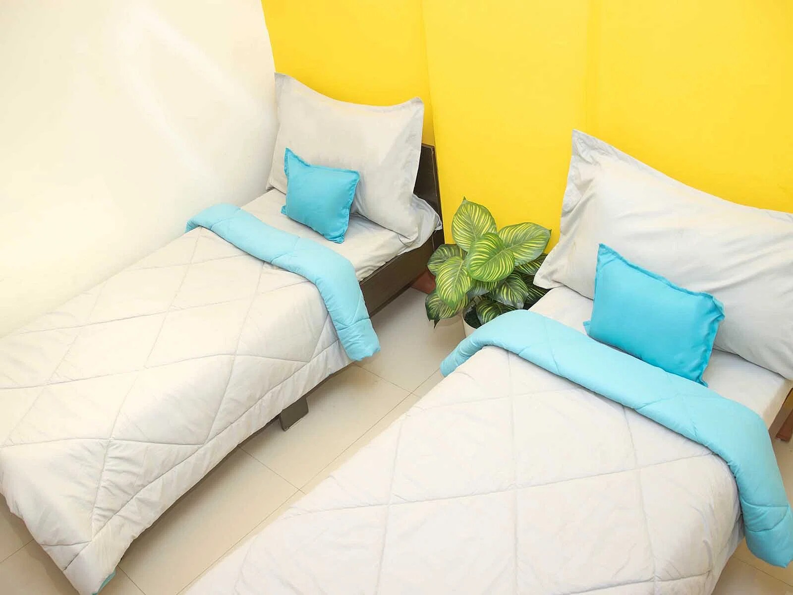 Z Express Aeon - Tap to explore photos