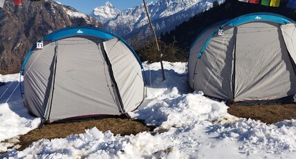Grand Auli Camp Room Type - Standard Camp