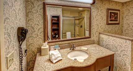 Hampton Inn by Hilton Manning Room Type - KING STUDY-NON SMOKING