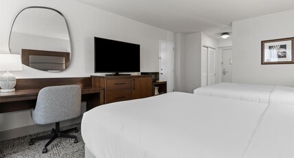 Hilton Arlington National Landing Room Type - 2 QUEEN BEDS DELUXE ROOM