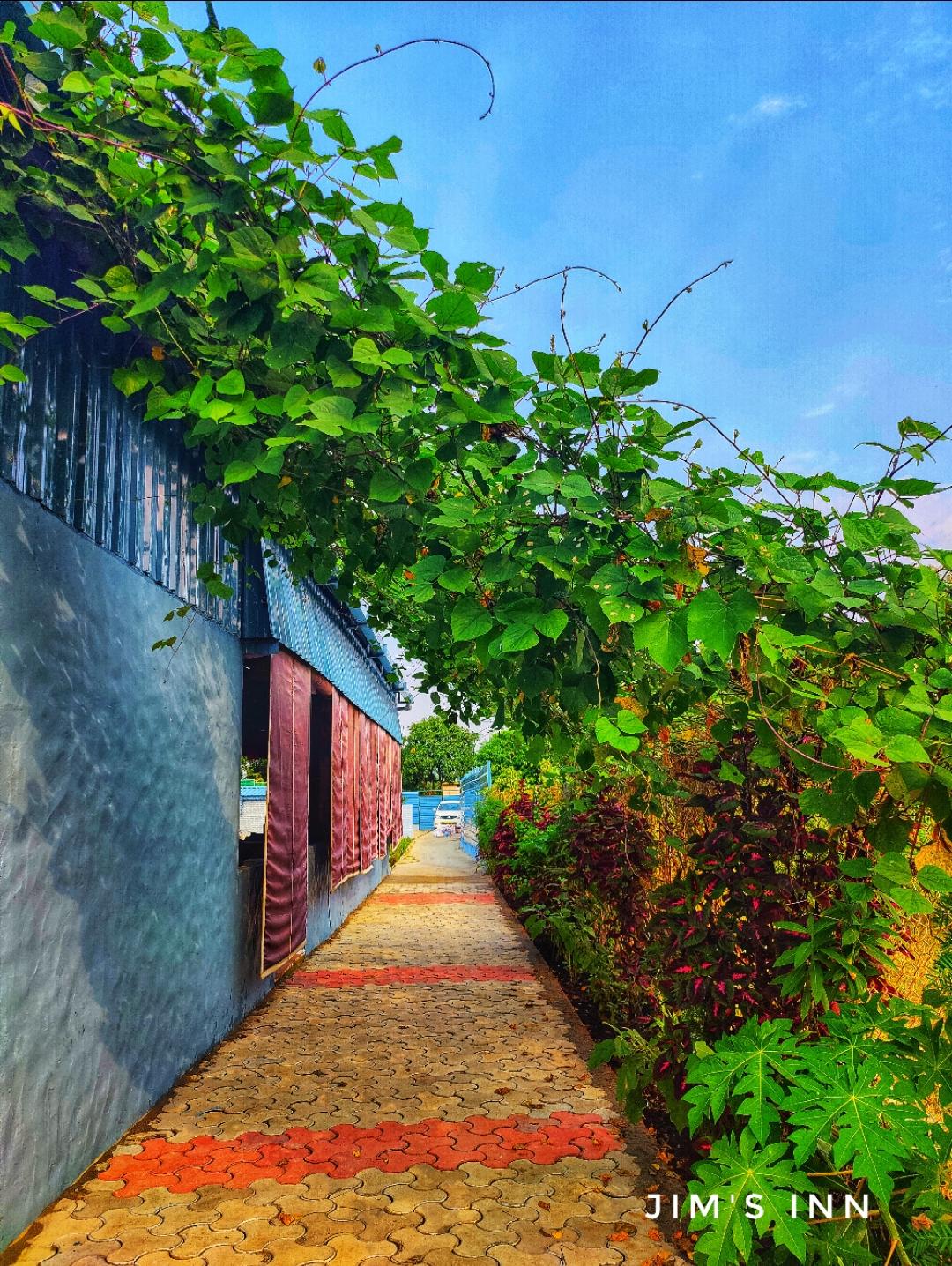 Jims Inn - Tap to explore photos