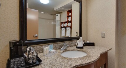 Hampton Inn & Suites by Hilton Las Cruces I-25 Room Type - 1KING BED DELUXE RM NOSMOK